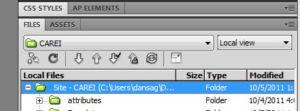 Zoomed view of dreamweaver file controls